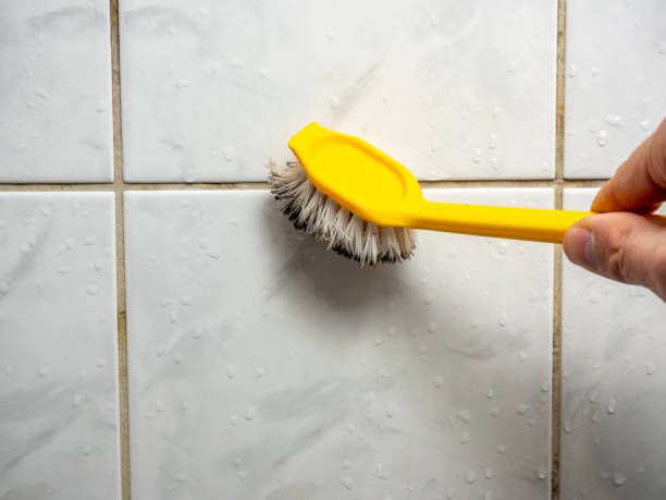 Best Mold Damage Repair  in Markesan, WI