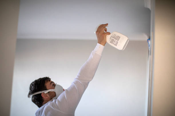Best Mold Removal and Inspection  in Markesan, WI